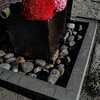 2025年5月11日　上尾御嶽神社花手水