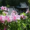 岡津山