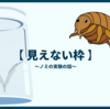 井の中の蛙、コップの中のノミ。