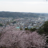 さくらの山公園