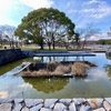 大地の池・水の広場（大阪府吹田）