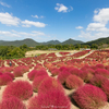 国営讃岐まんのう公園