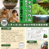 【募集開始】苔テラリウム親子ワークショップ開催！兵庫の自然を感じながら“ミニチュアの森”をつくろう🌿