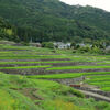 夏の棚田