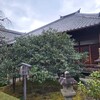 【京都】『地蔵院(椿寺)』「京の冬の旅」に行ってきました。