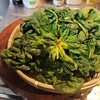 〇〇年若返るかも！美肌効果抜群！ちぢみほうれん草の青菜炒め 中華主菜 副菜 健康 ダイエットレシピ 風邪予防 免疫力アップ