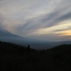 2015年 富士山麓で山菜採り（その2)