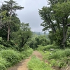 【高尾山・小仏城山登山】三連休の中日に少し歩いてきました