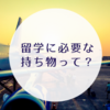 【海外留学・海外旅行】交換留学生が送る持ち物リスト50【随時更新】