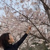 桜のきれいな季節を迎えました🌸