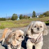 一斉にスイッチオフ