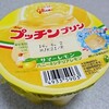 グリコ「Bigプッチンプリン＜サマーレモン＞」を食べてみました