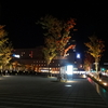 秋の夜