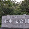 小中池公園鯉のぼりまつり