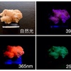紫外線ライトの選び方(蛍光鉱物用)