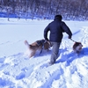赤城　ふかふかの新雪で犬達と遊ぶ