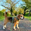 いつも我が道