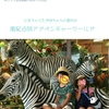 南紀白浜アドベンチャーワールド､旅の始まりは鬼が城｡