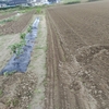 風除け対策！ユタカソルゴー