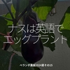 2481食目「ナスは英語でエッグプラント」ベランダ農園2024夏その15