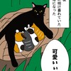 猫に認められた日2  ー絵日記ブログー