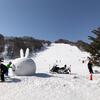 滑走日報 - コブは補助輪なしの自転車のように滑り出せれば行ける(気がする)