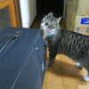 匂う匂う匂う！