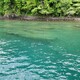 流れに逆らわない生き方をする