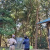 オフ会（ドキッ！オッサンだらけの木のぼり大会）