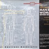 「The Measure of Man & Woman revised edition Human Factors in Design」