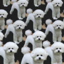 どん底からセレブになっていきます！