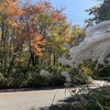 今年の紅葉は随分と遅れている様で日光方面もまだまだこれから