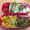 豚肉攻め？弁当　と　翌日のお弁当