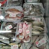 ６月８日（土）河西鮮魚店