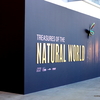 メルボルン博物館で行われている、Treasures of the Natural World展を訪れる