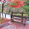 紅葉狩り旅か？ ５泊６日のぼっち車中泊旅【49】（2023年11月7日～12日）