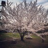 春を感じる時・・・娘が幼稚園へ入園します