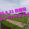 2020,6,21 日曜日 トラックバイアス予想 (東京競馬場、阪神競馬場、函館競馬場)