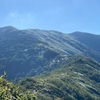 花の百名山、平標山から仙の倉山へ