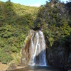 干支の山歩き・子ノ泊山