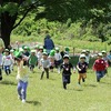 森の幼稚園　　夕日寺で遊んだよ