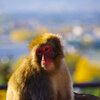 旭山動物園写活①
