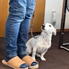 基本を思い出しましょう