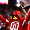 NFLの名物となってる応援スタイル