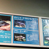 2022/6/11　メコン川中流の魚に新展開！！