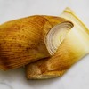 水だけのたけのこのアク抜き方法(米ぬかなし)