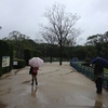 雨の動物公園