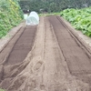耕運したよ