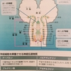 「認識」と「自覚」の違いとは。人生を変える行動には「◎◎化」が必須だよん！