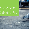 超初心者がプログラミングを始めようとしたら、何から始めるべきか？これをみて決めた！　＃1